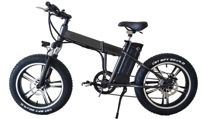 BICICLETTA BIKE ELETTRICA TELAIO BICICLETTA PEDALATA ASSISTITA 250W PIEGHEVOLE BICI Mountain Bike fat bike 