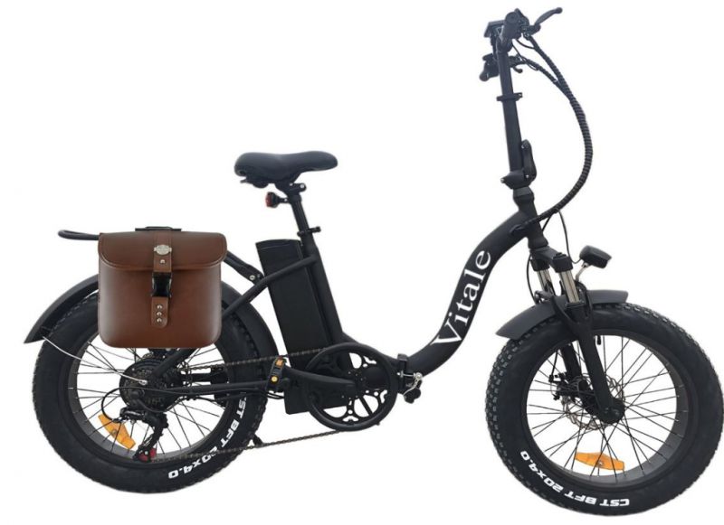 BICICLETTA FAT BIKE ELETTRICA TELAIO BICICLETTA PEDALATA ASSISTITA PIEGHEVOLE 250W IN OFFERTA BICI Mountain Bike OFFERTA