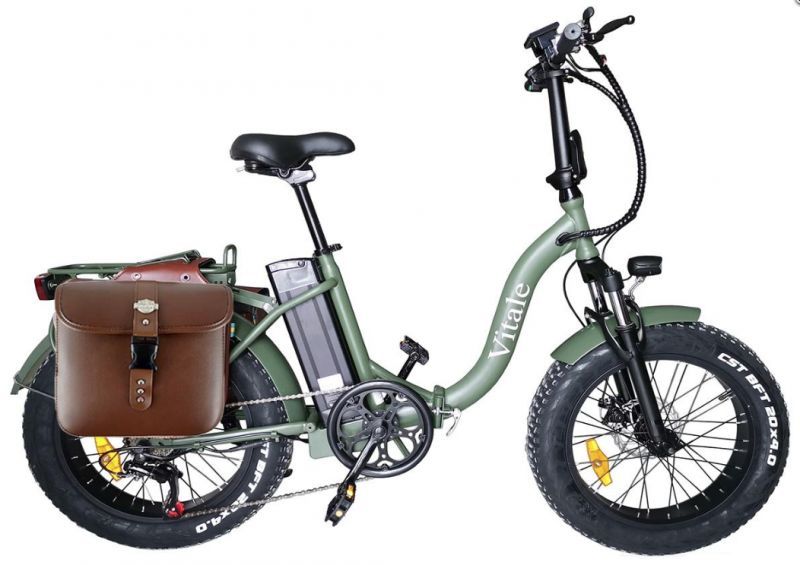 BICICLETTA FAT BIKE ELETTRICA TELAIO BICICLETTA PEDALATA ASSISTITA PIEGHEVOLE 250W IN OFFERTA BICI Mountain Bike OFFERTA